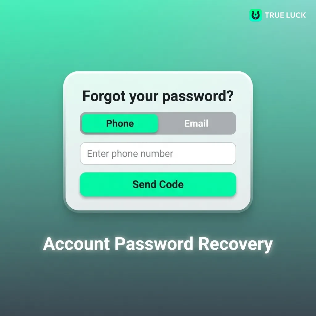 Password recovery screen showing step-by-step instructions for resetting account access via email or phone verification