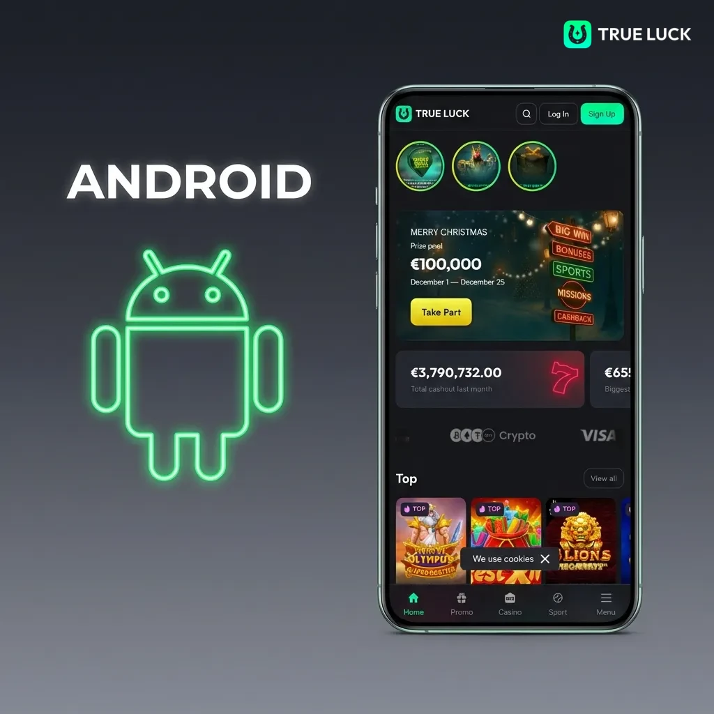 Android app installation guide showing download button and step-by-step setup instructions for APK file installation